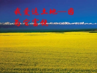 我爱这土地17115