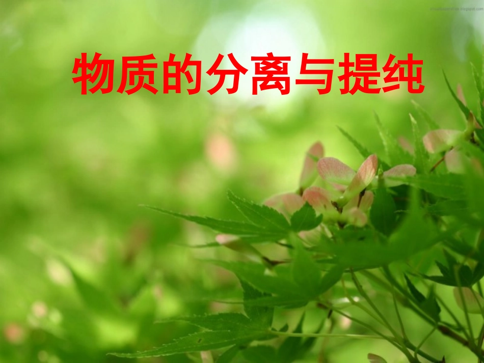 物质的分离与提纯_第1页