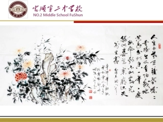 菊花的组织培养