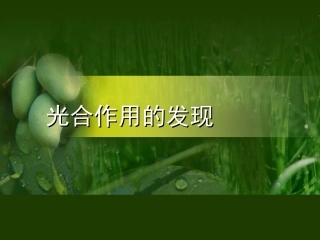 光合作用的发现