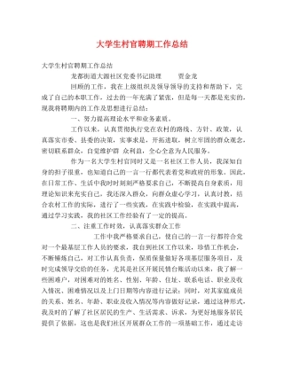 大学生村官聘期工作总结2 