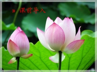 课题1++生活中常见的盐