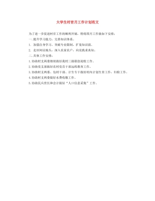 大学生村官月工作计划范文 