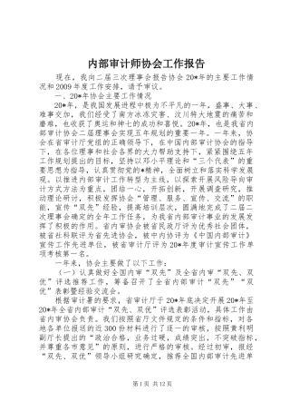 内部审计师协会工作报告