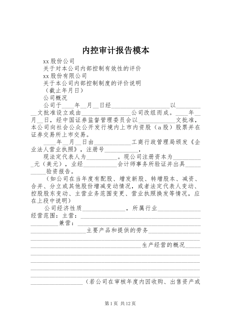 内控审计报告模本_第1页
