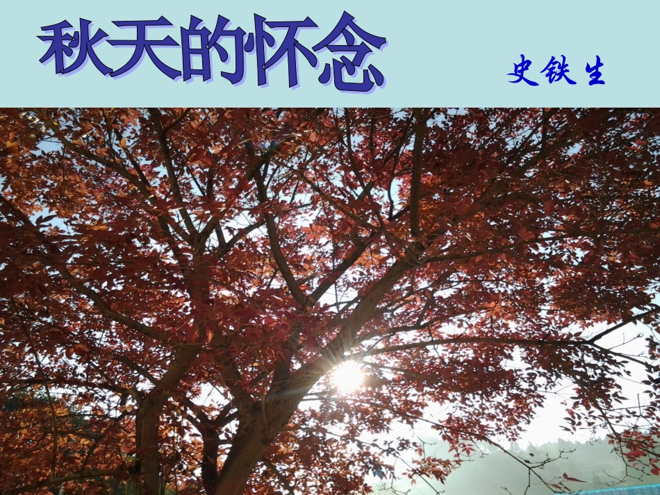 秋天的怀念课件_第1页
