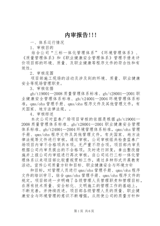 内审报告!!!