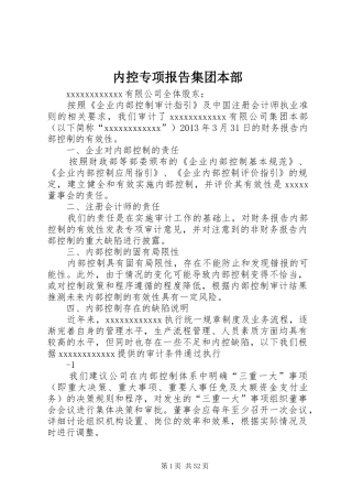 内控专项报告集团本部