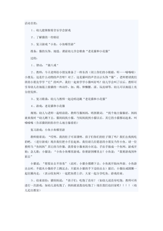 老花猫和小花猫