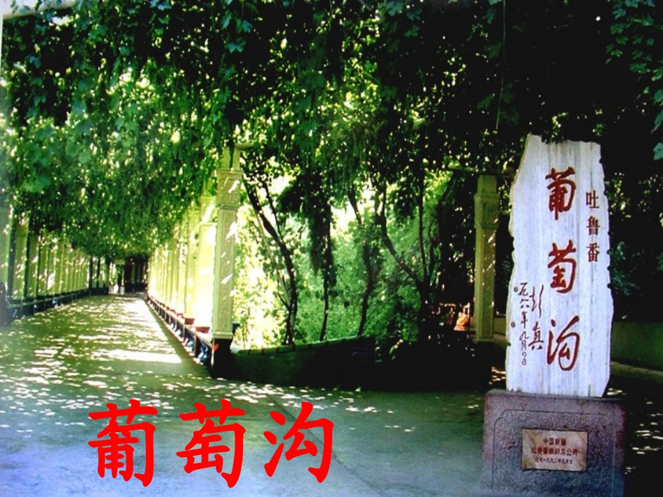 葡萄沟 (2)_第1页