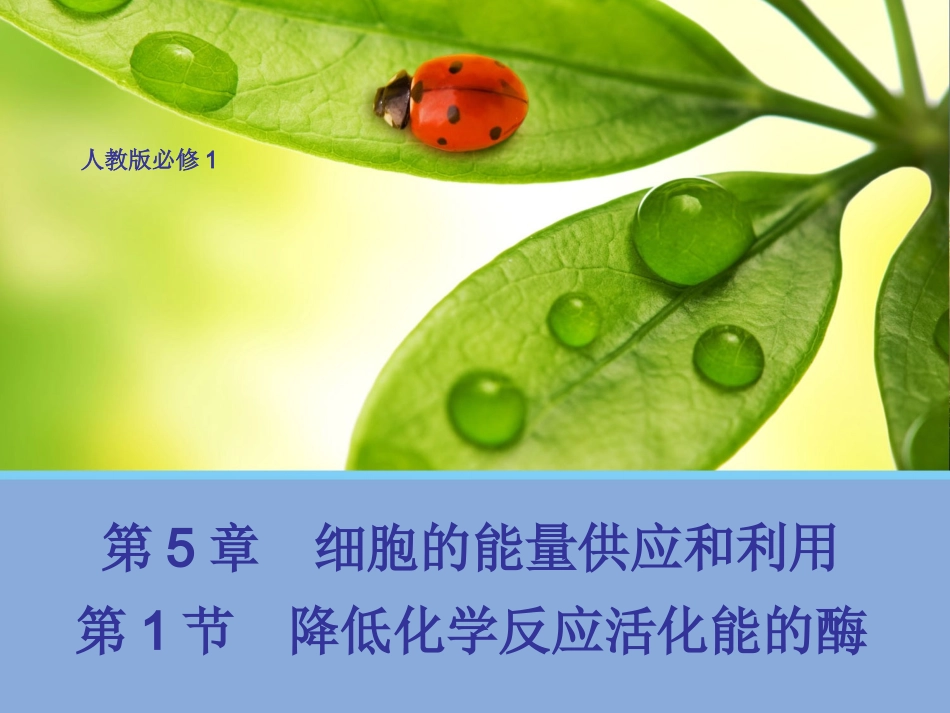 降低化学反应活化能的酶课件（linlin）_第1页