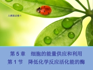 降低化学反应活化能的酶课件（linlin）