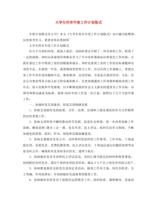 大学生村官年度工作计划格式 