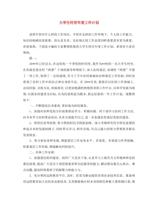 大学生村官年度工作计划 
