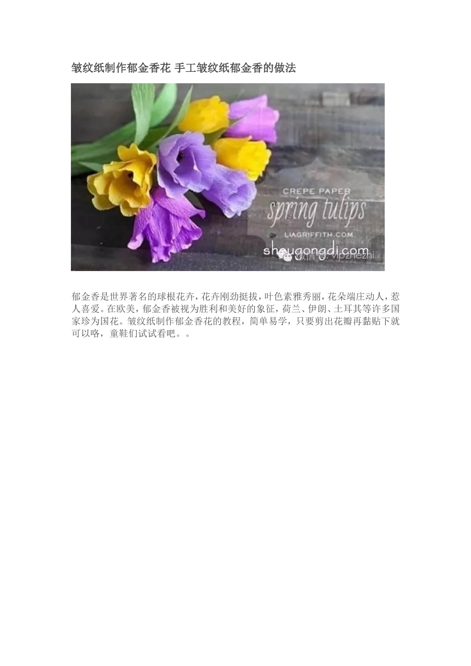皱纹纸制作郁金香花手工皱纹纸郁金香的做法_第1页