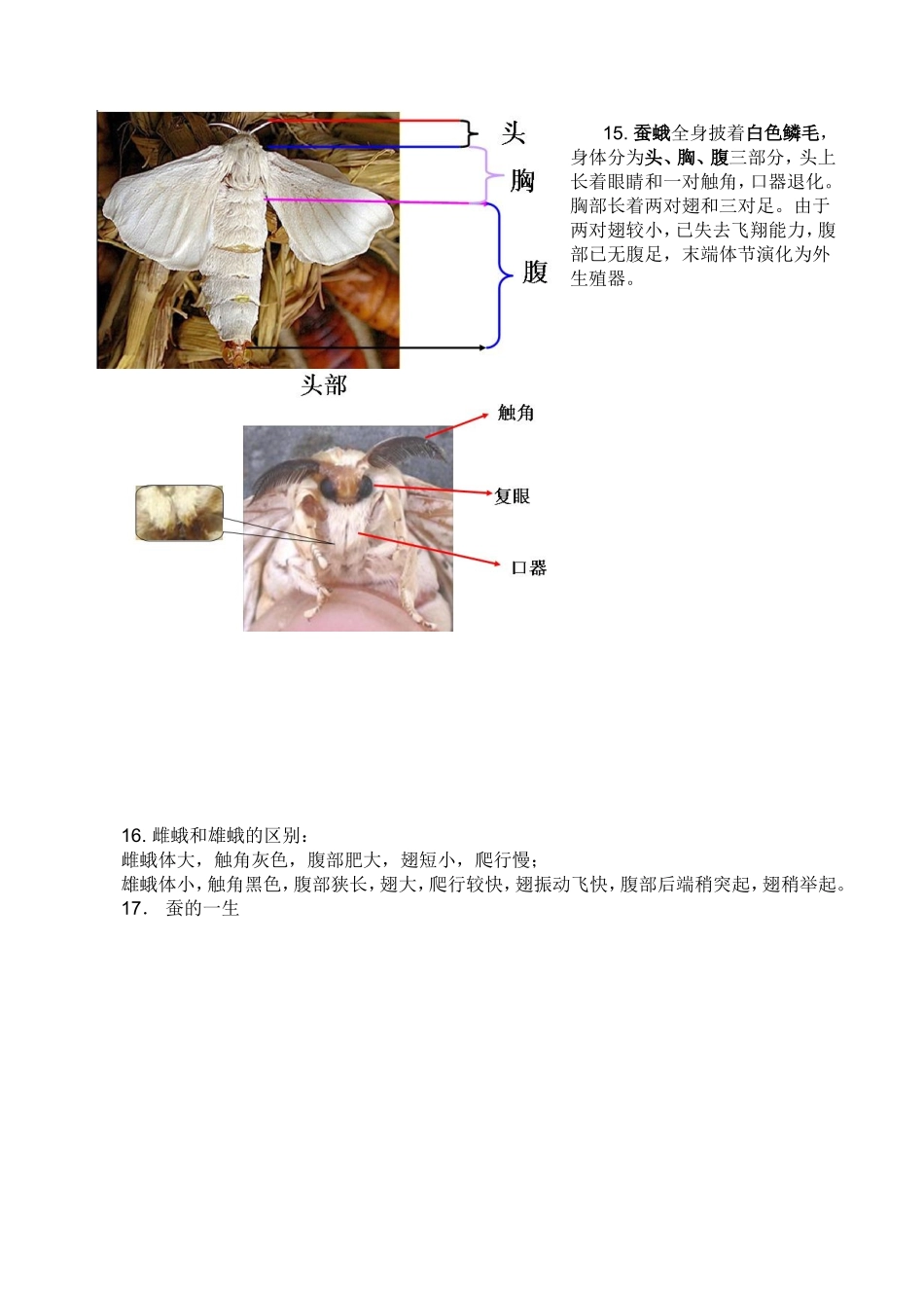 小学三下科学第二单元《动物的生命周期》知识点整理_第3页