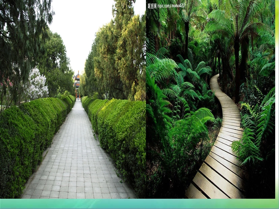 美丽的小路 (2)_第2页