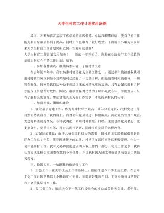大学生村官工作计划实用范例 