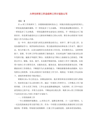 大学生村官工作总结和工作计划怎么写 