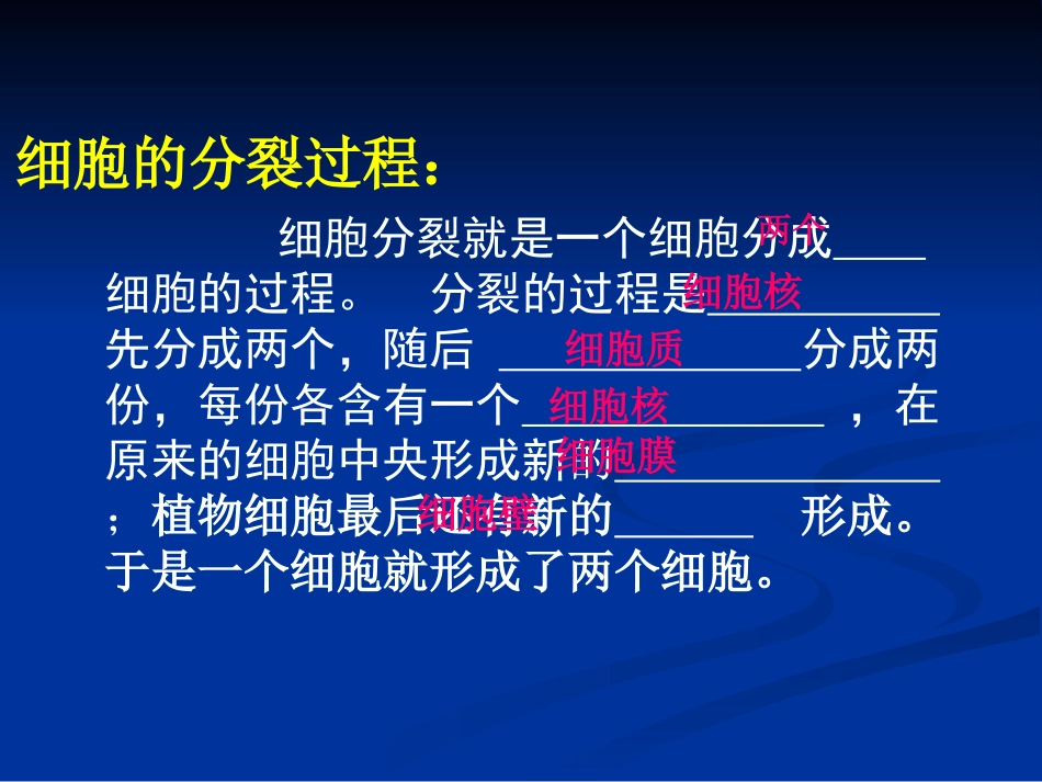 细胞的分裂和生长_第3页