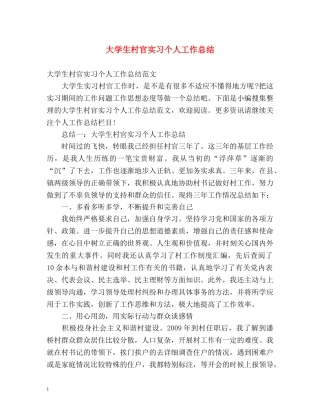 大学生村官实习个人工作总结 
