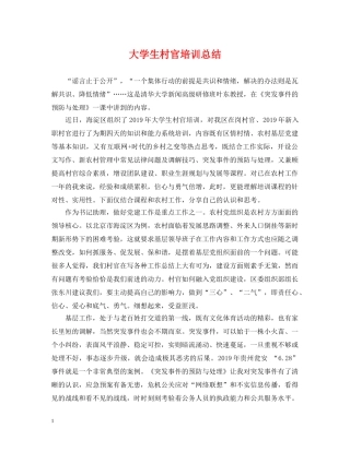大学生村官培训总结 