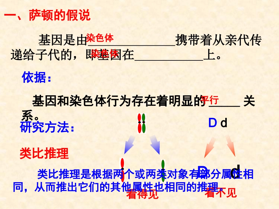 【生物】22基因在染色体上课件1（人教版必修2）_第2页