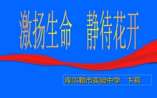 生本教育(卞莉)