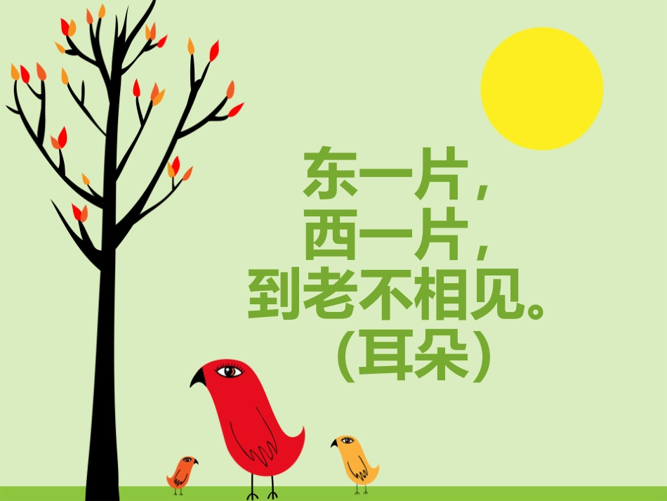 机灵的耳朵课件_第2页