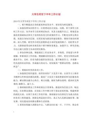 大学生村官下半年工作计划 