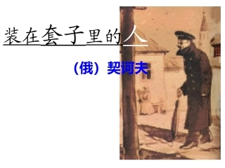 装在套子里的3