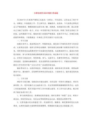 大学生村官2020年度工作总结 