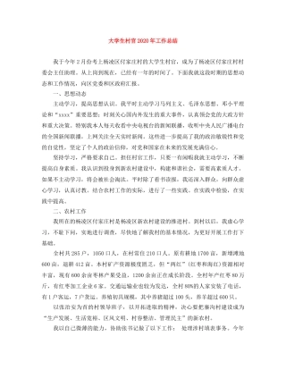 大学生村官2020年工作总结 