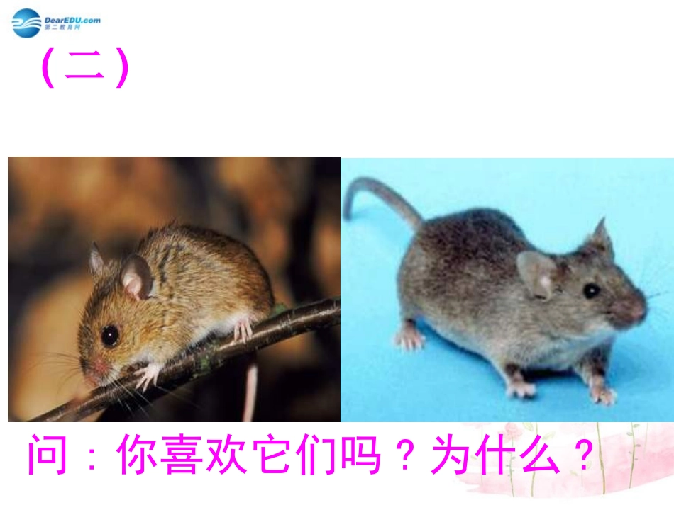 第三单元第三课时欣赏与赞美课件粤教版_第3页