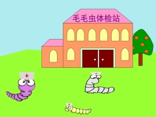 大班-自然测量