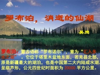 罗布泊，消逝的仙湖 (3)