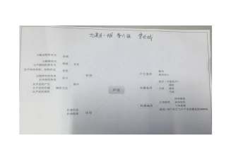 岳阳市六中李长城