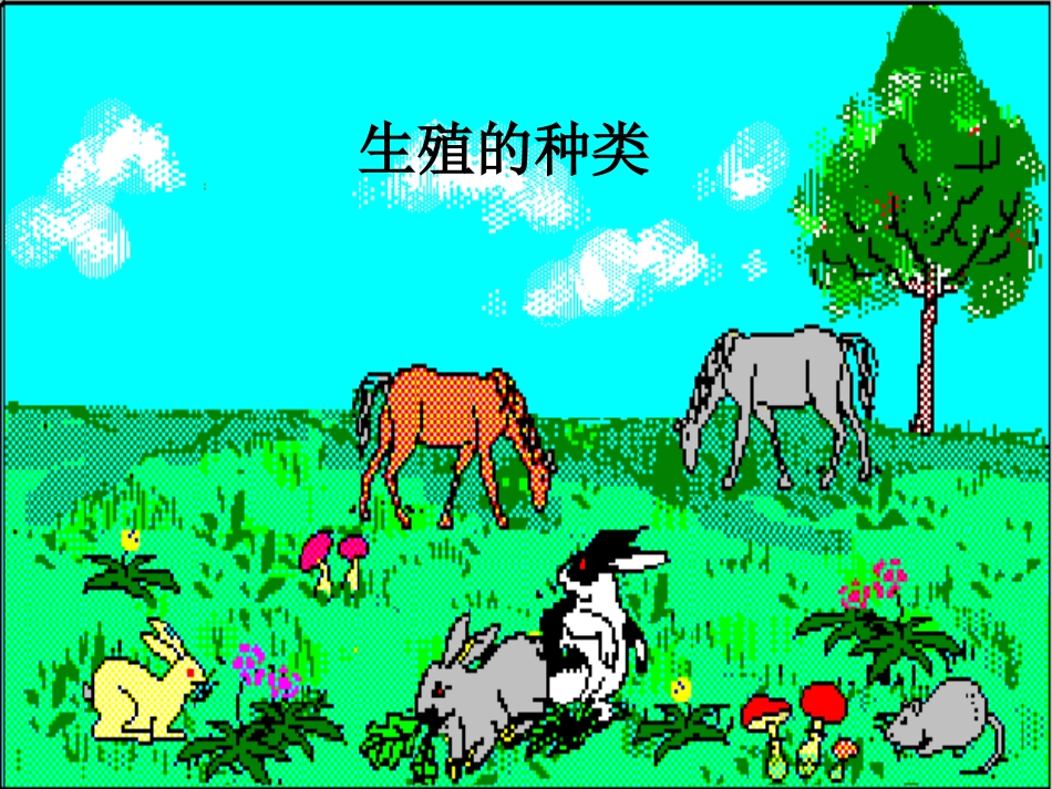 生物的生殖和发育_第2页