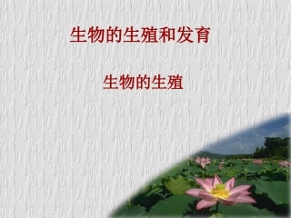 生物的生殖和发育