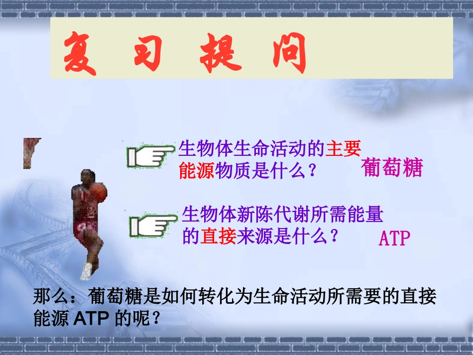 细胞呼吸课件_第1页