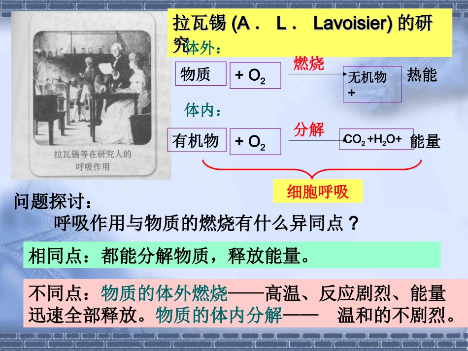 细胞呼吸课件_第3页