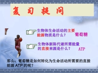 细胞呼吸课件