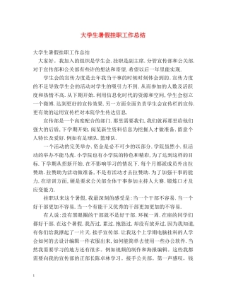 大学生暑假挂职工作总结 