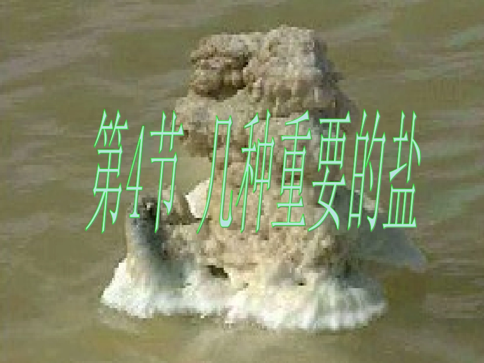 第四节几种重要的盐1课时_第1页