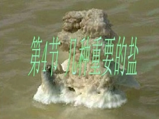 第四节几种重要的盐1课时