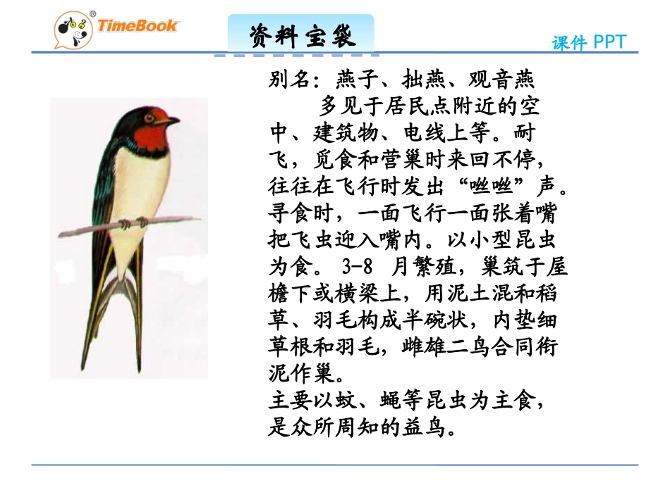 吉林版语文三年级下册《燕子回家的路》_第2页