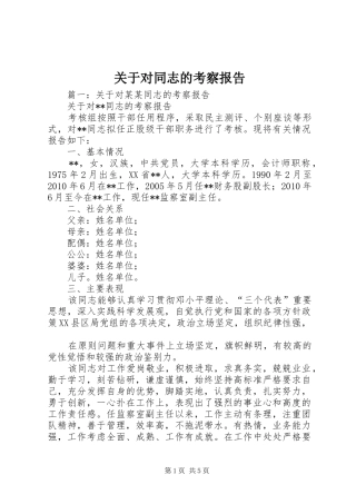 关于对同志的考察报告
