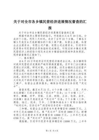 关于对全市各乡镇民营经济进展情况督查的汇报