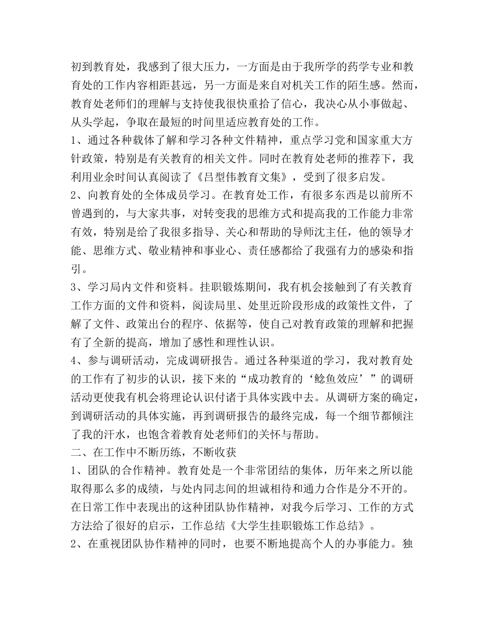 大学生挂职锻炼工作总结 _第2页