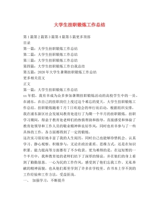 大学生挂职锻炼工作总结 